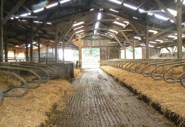 Quelle que soit la qualité du raclage quotidien, un nettoyage en profondeur est à envisager annuellement pour parfaire l’hygiène des sols.