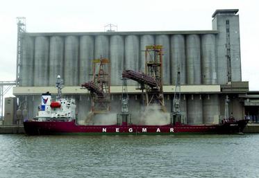 La teneur en protéines est un facteur essentiel de la compétitivité des blés français à l'export.