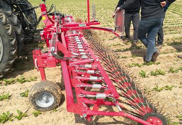 Des agriculteurs testent une roto-étrille pour désherber mécaniquement.