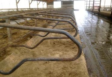 Le sable dans la logette procurera aussi un aspect non glissant au béton.