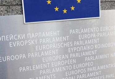 Les écologistes pourraient jouer les arbitres par rapport à la Pac.