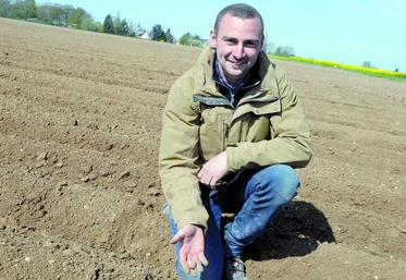 Maxime Herbet : «Quand on a repris les plantations, on s’est vite rendu compte que si l’on descendait en profondeur, la terre était encore humide.»