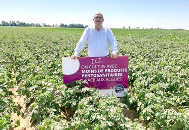 Que ce soit sur ses parcelles converties à l’agriculture bio ou conventionnelles, Pascal Lemaire teste chez lui des solutions algosourcées pour réduire le recours aux produits phytosanitaires de synthèse. Réponse de ses essais dans quelques semaines.