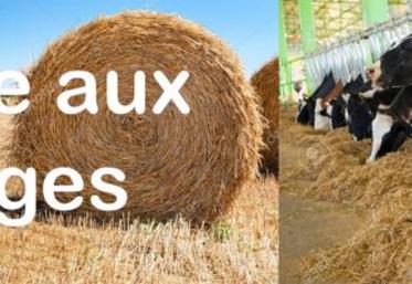 La bourse aux fourrages est une plateforme qui facilite vos recherches en fourrages.