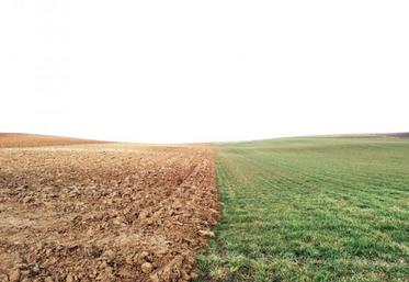 Les augmentations les plus fortes du prix du foncier se situent en Europe de l’Est et en Amérique du Sud.