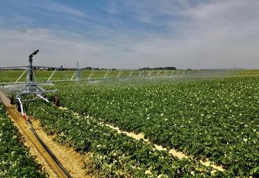 Trois systèmes principaux ont été comparés, à savoir le canon sur enrouleur, la rampe sur enrouleur et le système  de goutte-à-goutte (micro irrigation). 