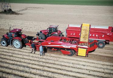 Pour Jean-Baptiste Chombart, chez Agri Santerre, «La Select 200 de Grimme a de quoi tenir ses promesses».