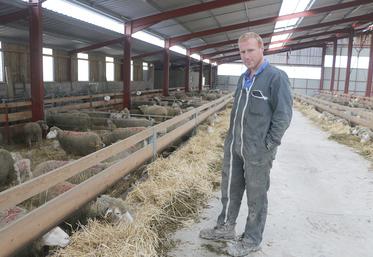 L’élevage ovin s’intègre bien dans le fonctionnement global de l’exploitation,  atteste Valentin Tailliart. 