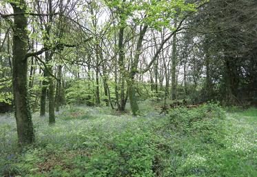 Toutes parcelles boisées vendues doivent être notifiées aux voisins de la parcelle contiguë.