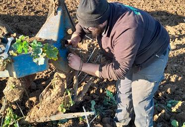 Après un travail de saisonnier bien réalisé, certains salariés sont orientés vers un Pass Vert l’emploi puis une formation pour un poste plus qualifié. 