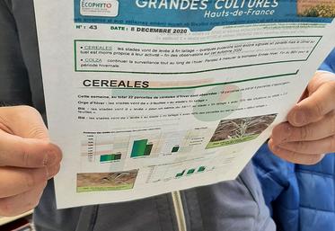 Le bulletin de santé du végétal tel qu’on le connait aujourd’hui est peut-être  en train de vivre ses derniers moments.