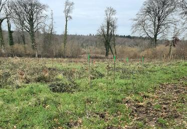 Les différentes mesures fiscales dont peuvent bénéficier les propriétaires forestiers sont cumulables, par exemple lorsqu’il a des travaux de renouvellement et l’aménagement d’une place de dépôt. 