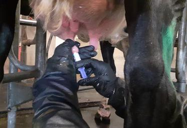 En cas de présence d’air dans la seringue de l’obturateur, il faut l’évacuer avant d’instiller le produit.