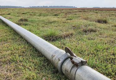 Selon les responsables de la Chambre d’agriculture de la Somme, «les irrigants vont devoir intégrer que l’eau disponible  au pompage sera probablement limitée en 2023». 