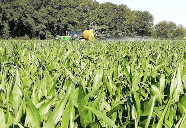 Le sujet du règlement Pesticides, qui prévoit entre autres une réduction de 50 % de leur utilisation à l’horizon 2030, est sur la table. 