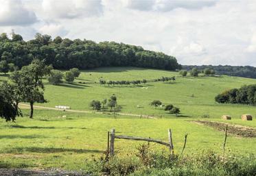 Dans le cadre de la Pac, tout retournement effectué à partir du 16 mai 2020 doit faire l’objet d’une autorisation 
de la DDT(M).