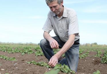 Henri Poupart a débuté la plantation de la pomme de terre nouvelle ce 8 mars. 