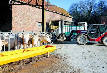 Moins nombreuses, les exploitations seraient totalement intégrées dans les filières ou bien organisées pour être insérées dans le marché.