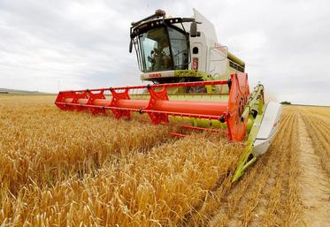 On observe un important report de semis de blé tendre et d'orges d'hiver qui n'ont pas pu être réalisés : les surfaces d'orges de printemps sont en hausse de 19 % par rapport à 2019.