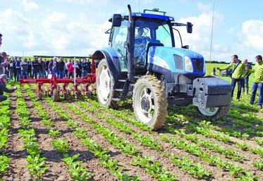Au travail, dans des parcelles déjà très propres, toutes les machines ont donné de bons résultats.