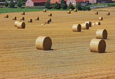 En 2018, production agricole et production agroalimentaire retrouveront un peu de couleurs, même si le cours 
des matières premières agricoles ne devrait pas vraiment augmenter.