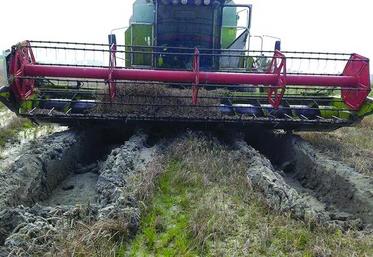 Difficile pour les moissonneuses-batteuses d'entrer dans les parcelles sous peine de s’enliser.