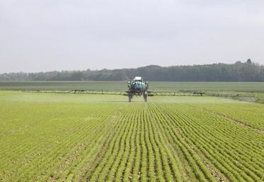 Fonction des usages, l’utilisation du glyphosate pourrait être plus ou moins possible encore quelques temps.