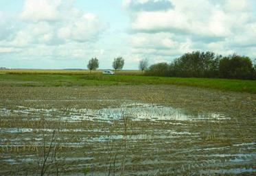 En bas-champs, mieux vaut semer en bonnes conditions au 15 février qu’en mauvaises conditions au 1er décembre.