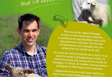 Si vous souhaitez vous spécialiser en ovins, le CSO est la formation qu’il vous faut.