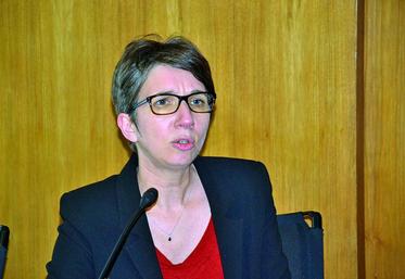 Agnès Cochu : chef de pôle au Sral Nord-Pas-de-Calais-Picardie à Amiens a présenté le plan de surveillance sanitaire 
à la section «pommes de terre» de la Fdsea.