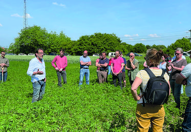 Le chanvre ne présente que des qualités : moins d'intrants, moins d'eau, séquestion du CO2, et est entièrement valorisable.