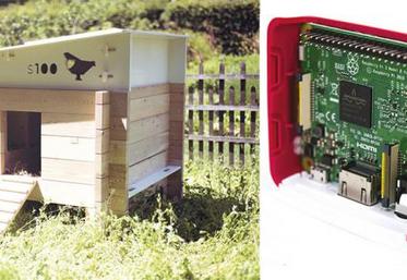 Le poulailler d’un mètre carré pour une hauteur de 1,50 mètre au plus haut a été conçu avec des briques en bois façonnées à partir d’essences locales et d’un toit en résine.