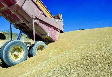 Le bilan blé tendre devrait se conclure sur un stock de fin de campagne de 6,43 millions de tonnes.
