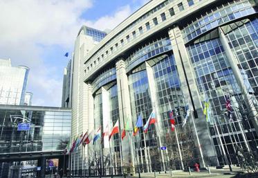 Les prochaines élections vont renouveler les 766 députés européens. La France en compte 74.