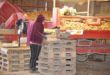 Un bon tri est une des clés d’un stockage réussi.