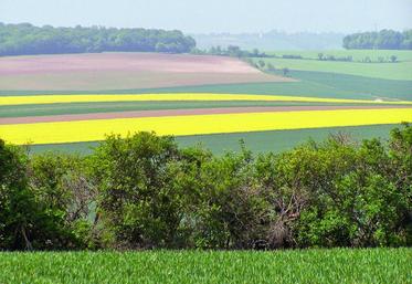 Les constructions sont possibles en zone naturelle dans les documents d’urbanisme, dit le rédacteur. Or, dans les faits, toutes les constructions n’y sont pas possibles, même si elles sont agricoles.