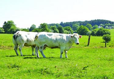 Selon le texte du compromis belge, les différentes entités du pays garderont un droit de regard, notamment en matière d'agriculture, pendant l'application provisoire et partielle du Ceta, en attendant sa ratification par l'ensemble des Parlements de l'Union européenne.