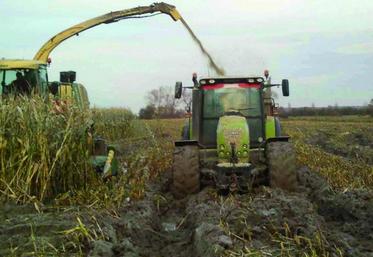 Les collègues sont venus avec leurs tracteurs pour sortir les maïs.