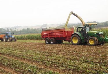 Vérifier l’éclatement des grains plusieurs fois dans plusieurs remorques au long de la journée.
