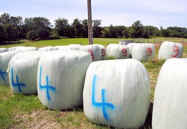 Le fourrage doit être récolté sans terre.

