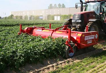 Défanage mécanique : broyage des fanes à l’aide d’un outil combiné.