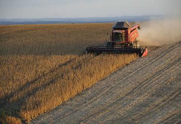 250 agriculteurs du Centre-Val de Loire, de Normandie et des Hauts-de-France, sont en attente de recouvrement des créances.