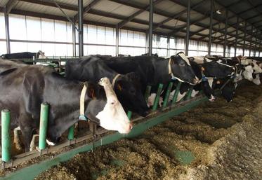 La masse de travail dépend de la taille du troupeau.