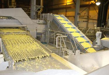 Selon les représentants de McCain, la perte de volumes liée à la sécheresse de 2018 s’élève à environ 8 000 tonnes.