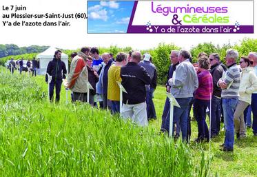 Une plateforme qui présente les stratégies de la bio pour optimiser la gestion de l’azote.
