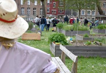 Visite du jardin des Carrés Saint-Pierre à Douai, lors du colloque Écophyto et collectivités, le 26 avril.