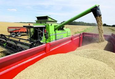 En orges d'hiver, le niveau de rendement, comme la qualité, est tout à fait honorable.