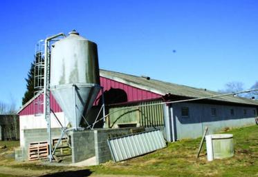 Faute de moyens financiers, certains éleveurs ne pourront procéder à la mise aux normes.