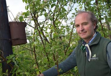Bernard Nicolaï a installé des nichoirs à mésanges dans ses vergers, parce que ces dernières dévorent des centaines 
d’insectes, des vers et des chenilles chaque jour. Un auxiliaire précieux évitant les traitements.
