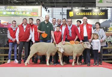 Sept éleveurs des Hauts-de-France ont exposé un total de onze béliers et trois antenaises lors du dernier Sia.